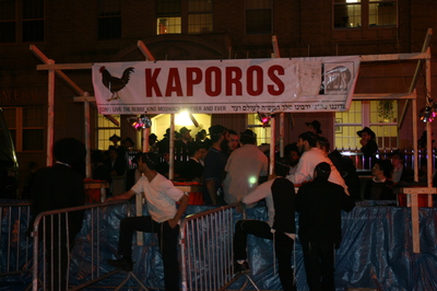 The kaparot slaughtering stand pre-ritual in Crown Heights, Brooklyn. Photo: Marlow Stern